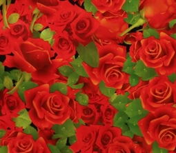 Voksdug - Røde roser - 140 cm bred - På metermål