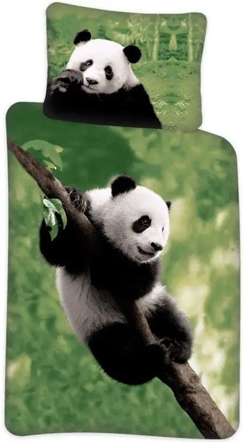 Billede af Panda junior sengetøj 100x140 cm - Panda sengesæt junior - 100% bomuld