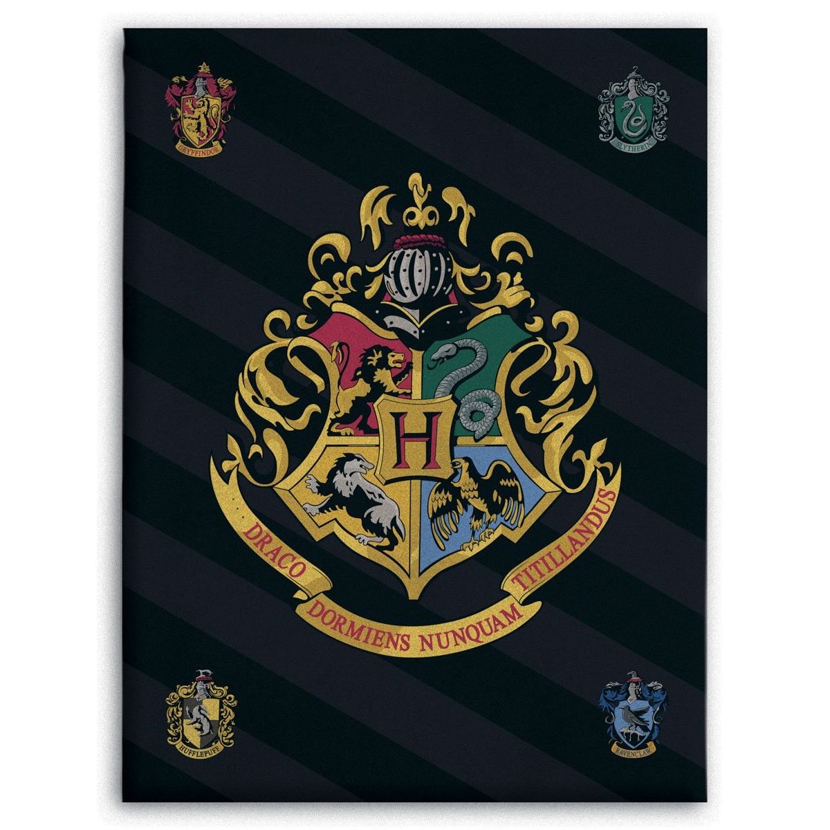 Børnetæppe - Harry Potter - 100x140 cm - Blødt og lækkert Fleece tæppe - Borg Living billede